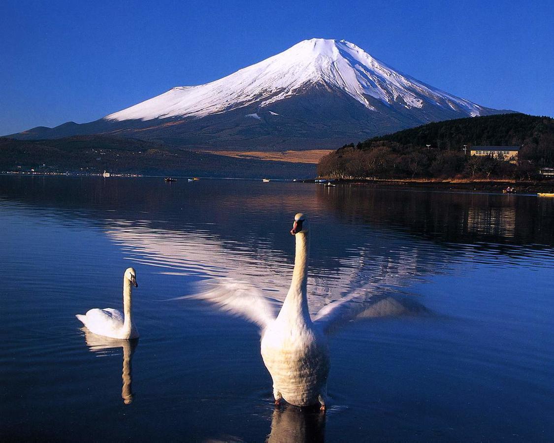 Resort Inn Golf Gotemba (Adults Only) Eksteriør billede
